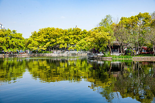 xô số miền nam
